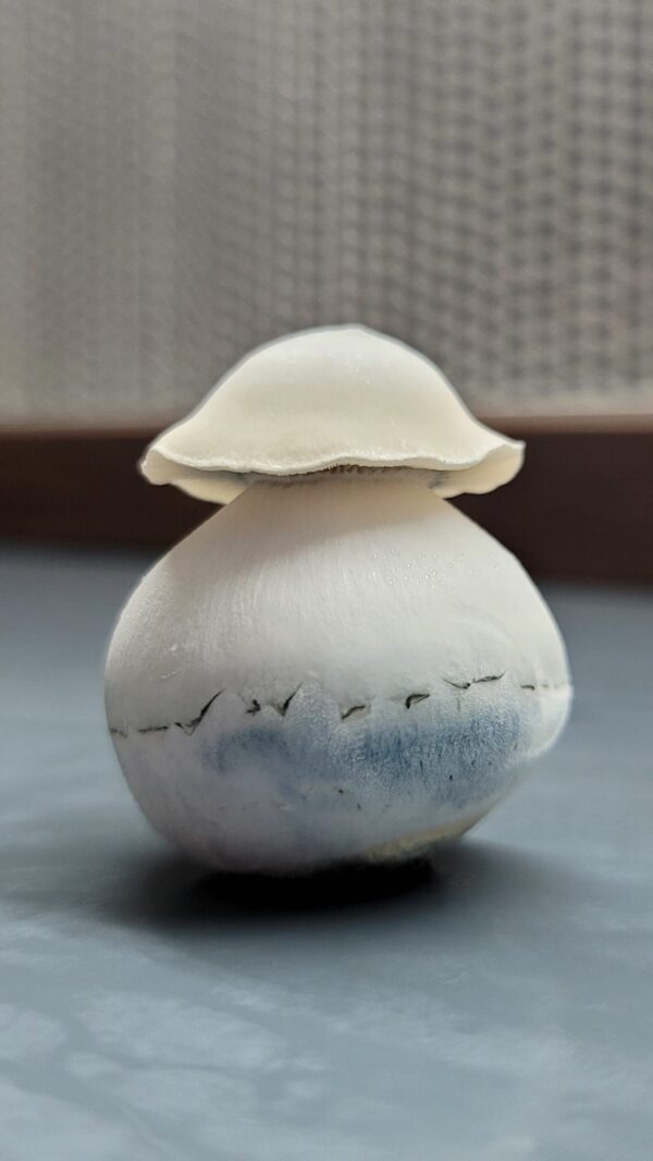 Yeti - Isolated Plate - Image 2