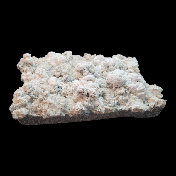 Enigma - Isolated Plate - Image 4