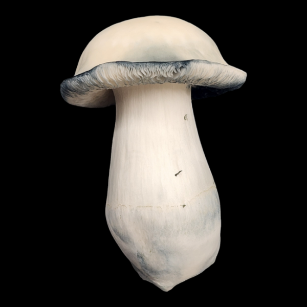 Albino Bluey Vuitton Isolated Plate - Image 3